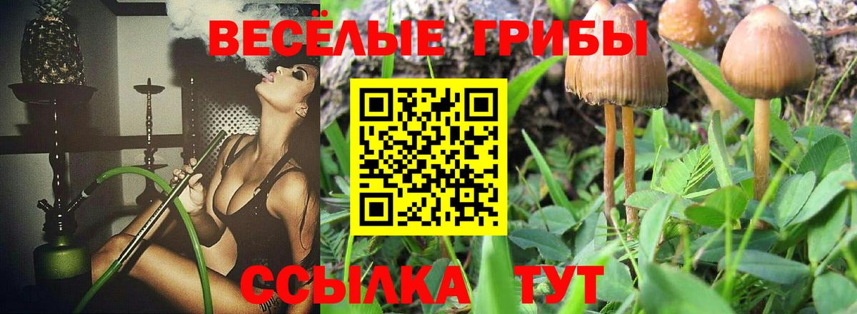Галлюциногенные грибы Psilocybine cubensis  Вход с VPN  Мценск 